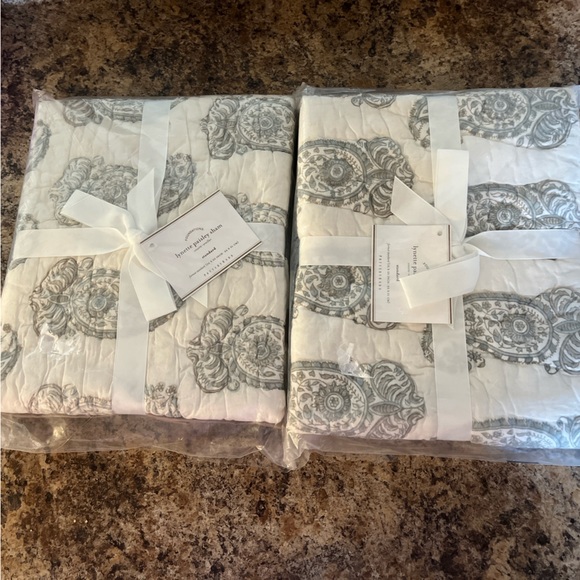 Pottery Barn Lynette Paisley Sham Standard - Picture 1 of 5